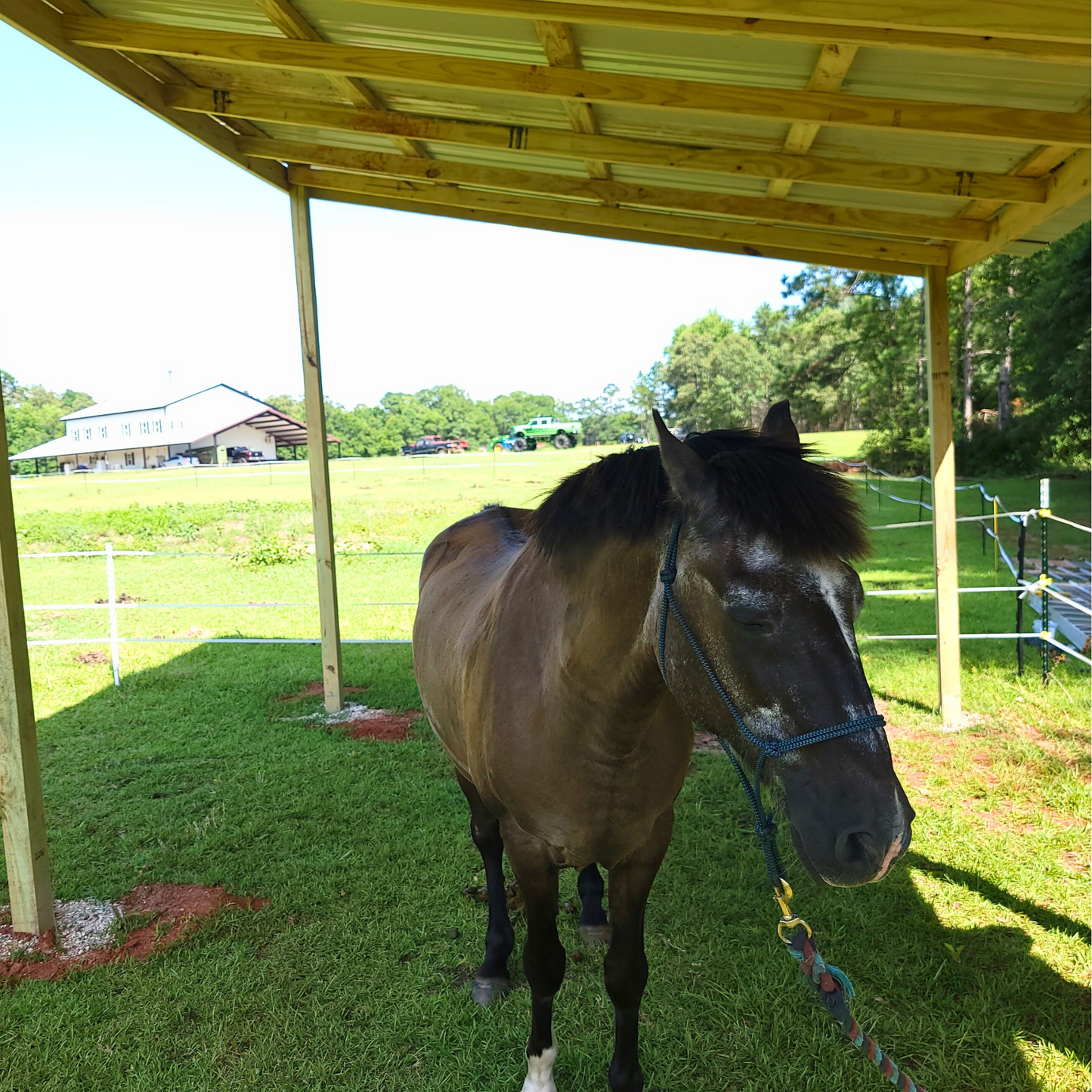 DIY 20x12x10 Horse Shelter Plans