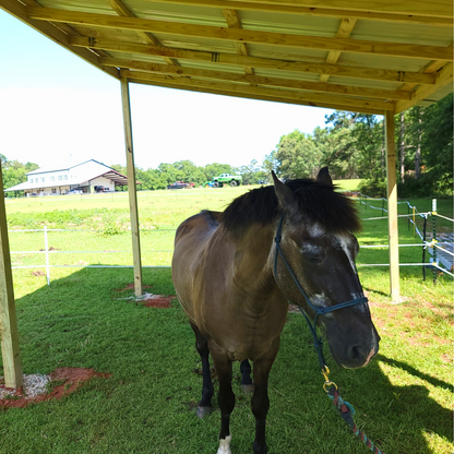 Inserto de soporte para pezuña de caballo para soporte de gato, planos para hacer uno mismo