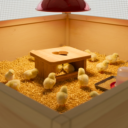 Tiny Chick Starter House – Baby Chicken & Quail Brooder Shelter