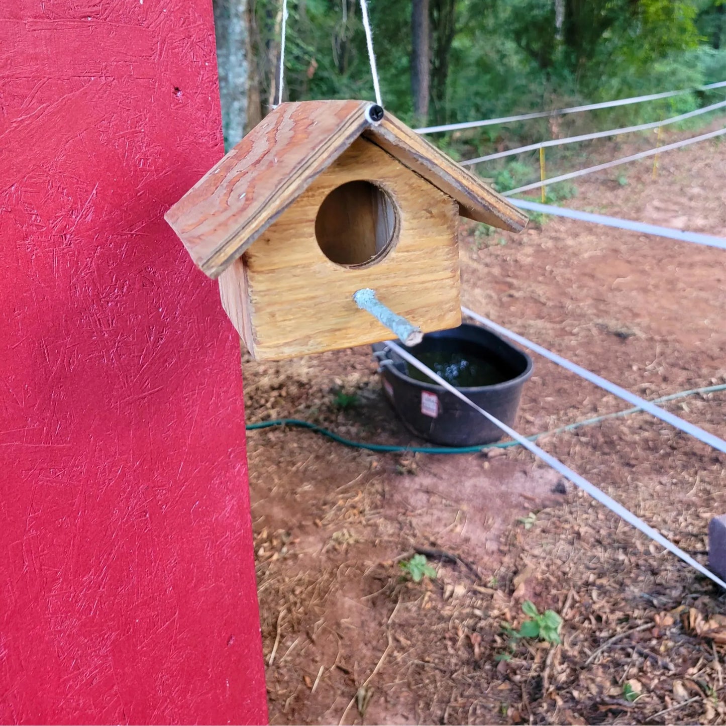 DIY Birdhouse Building Plans (FREE)